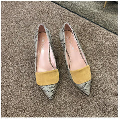 Shoes Pointy